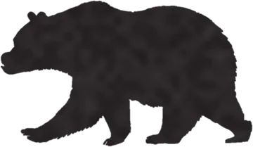 A shadow clue: whose shadow is this?