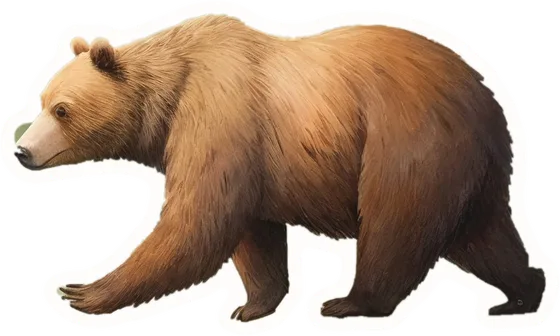 Bear, a paper cut-out