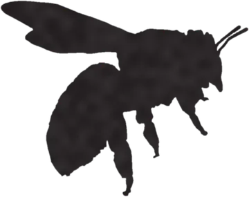 A shadow clue: whose shadow is this?