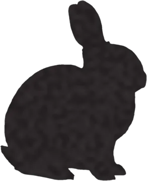 A shadow clue: whose shadow is this?