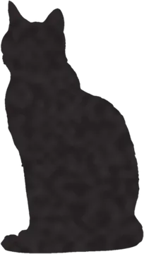 A shadow clue: whose shadow is this?