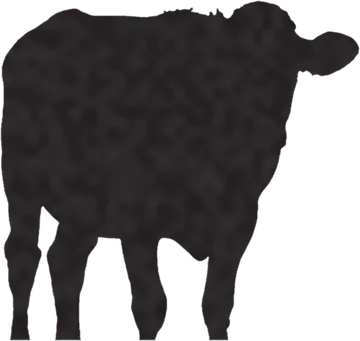 A shadow clue: whose shadow is this?