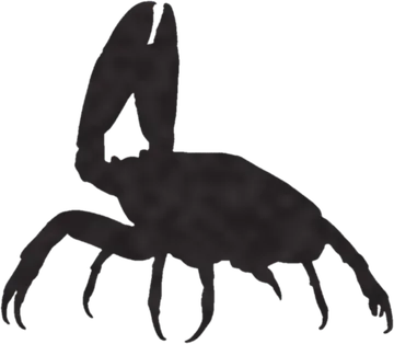 A shadow clue: whose shadow is this?