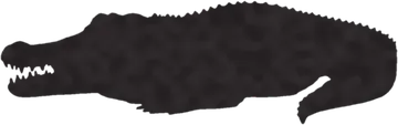 A shadow clue: whose shadow is this?