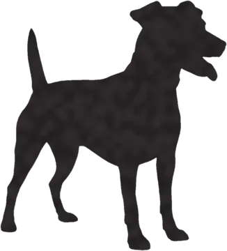 A shadow clue: whose shadow is this?