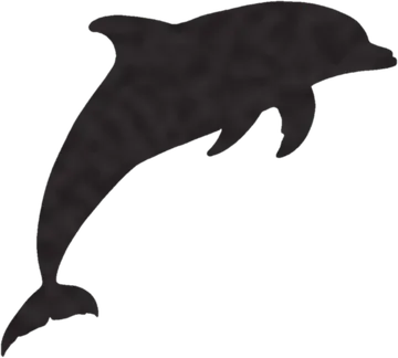 A shadow clue: whose shadow is this?