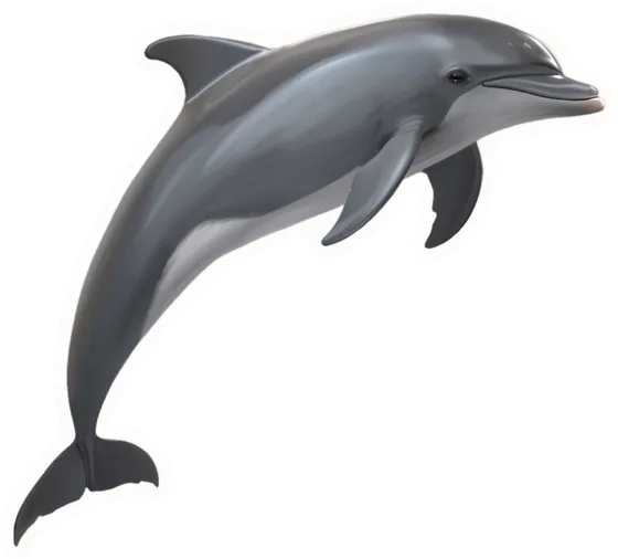 Dolphin, a paper cut-out