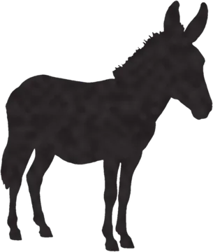 A shadow clue: whose shadow is this?