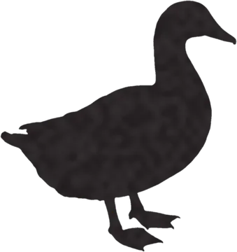 A shadow clue: whose shadow is this?