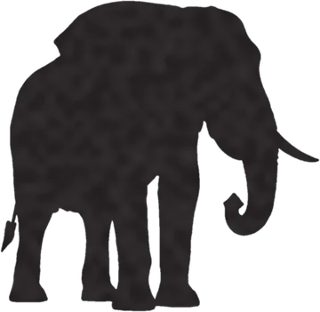 A shadow clue: whose shadow is this?
