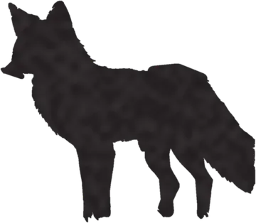 A shadow clue: whose shadow is this?