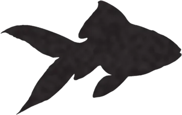 A shadow clue: whose shadow is this?