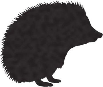 A shadow clue: whose shadow is this?