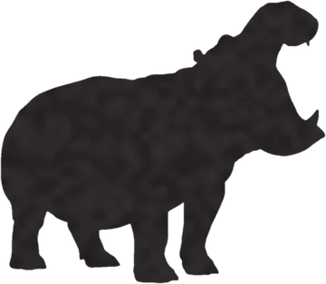 A shadow clue: whose shadow is this?