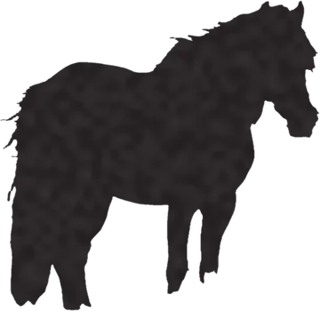 A shadow clue: whose shadow is this?