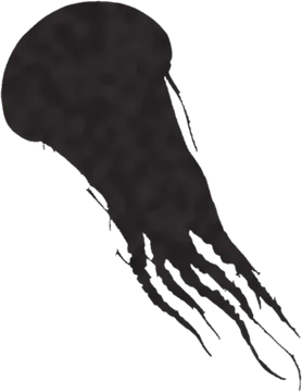 A shadow clue: whose shadow is this?