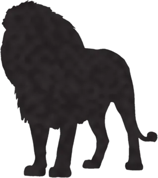 A shadow clue: whose shadow is this?