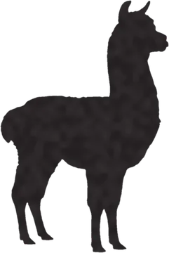 A shadow clue: whose shadow is this?