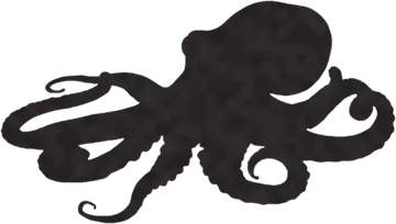 A shadow clue: whose shadow is this?