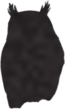 A shadow clue: whose shadow is this?