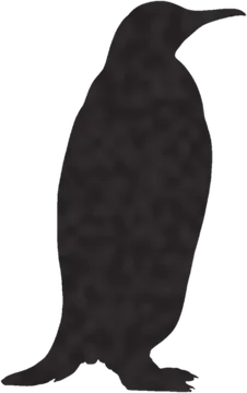 A shadow clue: whose shadow is this?