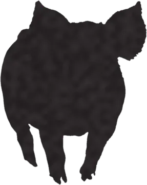 A shadow clue: whose shadow is this?