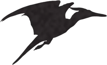 A shadow clue: whose shadow is this?