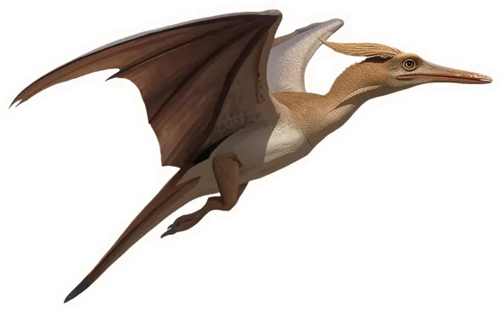 Pteranodon, a paper cut-out