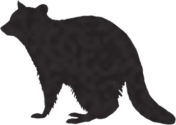 A shadow clue: whose shadow is this?
