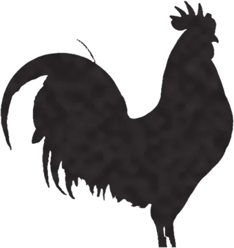 A shadow clue: whose shadow is this?