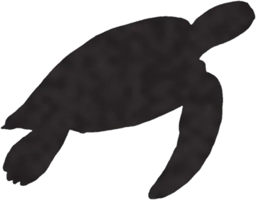 A shadow clue: whose shadow is this?