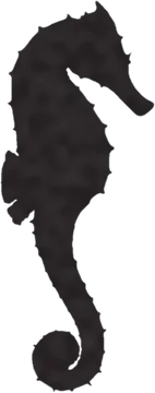 A shadow clue: whose shadow is this?
