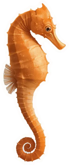 Seahorse, a paper cut-out