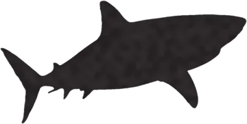 A shadow clue: whose shadow is this?
