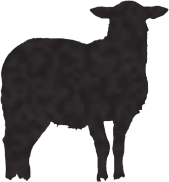 A shadow clue: whose shadow is this?