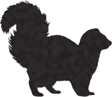 A shadow clue: whose shadow is this?