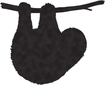A shadow clue: whose shadow is this?