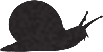 A shadow clue: whose shadow is this?