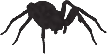 A shadow clue: whose shadow is this?