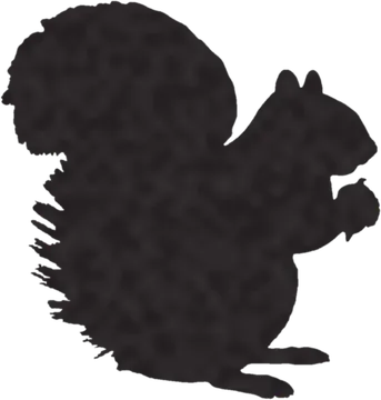 A shadow clue: whose shadow is this?