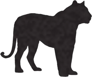 A shadow clue: whose shadow is this?