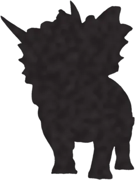 A shadow clue: whose shadow is this?