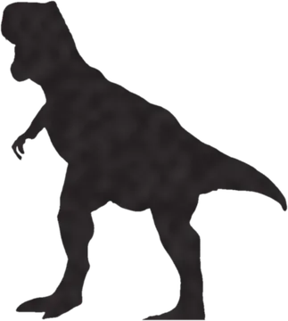 A shadow clue: whose shadow is this?