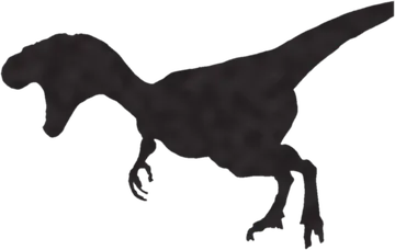 A shadow clue: whose shadow is this?