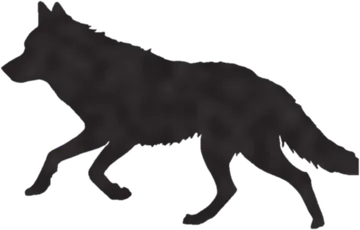 A shadow clue: whose shadow is this?