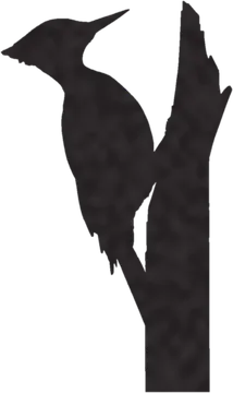 A shadow clue: whose shadow is this?